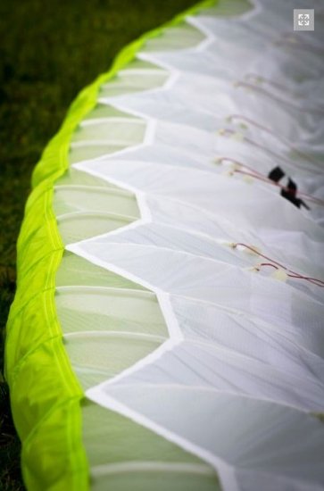 (image for) Ozone Buzz Z4 Paraglider