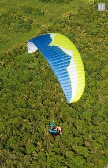 (image for) Ozone Buzz Z4 Paraglider