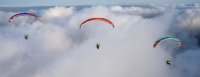 (image for) BGD Blizzard Paramotor wing